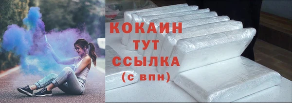 молекула духа Галич