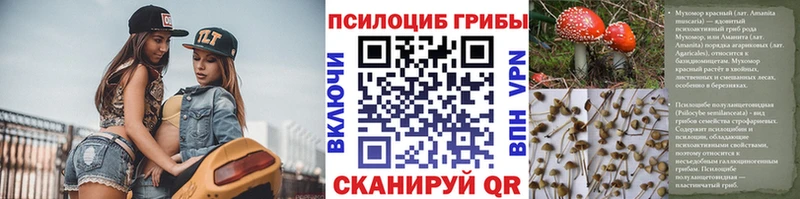 omg зеркало Сясьстрой Галлюциногенные грибы GOLDEN TEACHER